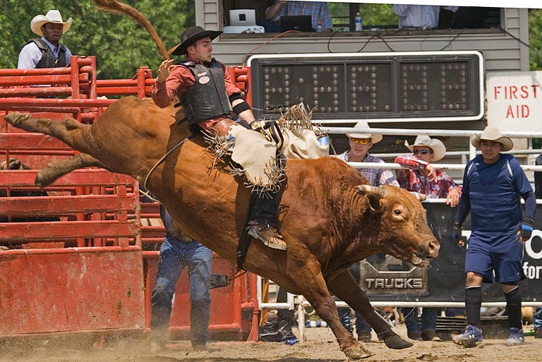 Bull Ride 1